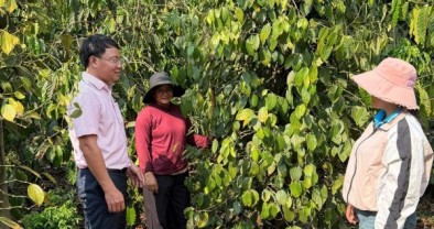 Ngân sách địa phương tiếp thêm nguồn lực cho tín dụng chính sách