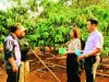 Tăng cường giám sát hoạt động tín dụng chính sách