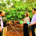Nhờ vốn vay từ NHCSXH, nhiều hộ gia đình ở Ia Boòng đã từng bước vươn lên thoát nghèo