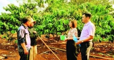 Tăng cường giám sát hoạt động tín dụng chính sách