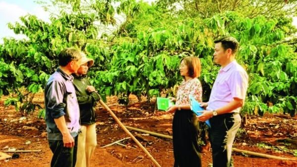 Nhờ vốn vay từ NHCSXH, nhiều hộ gia đình ở Ia Boòng đã từng bước vươn lên thoát nghèo