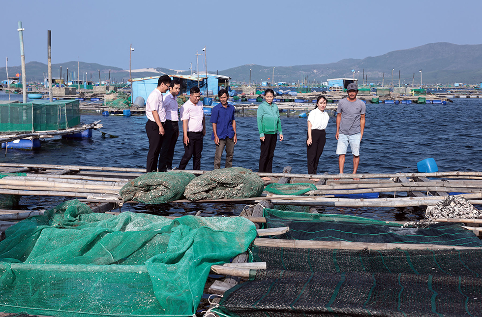 Tận dụng nguồn vốn ưu đãi, ông Thắm sửa chữa lồng bè, mua con giống nuôi cá, tôm hùm