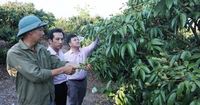 Nguồn vốn chính sách hỗ trợ người chấp hành xong án phạt tù phát triển kinh tế