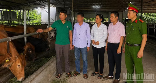 anh-mo-hinh-su-dung-von-vay-theo-cua-gia-dinh-anh-lvh_11zon anh-mo-hinh-su-dung-von-vay-theo-cua-gia-dinh-anh-lvh_11zon