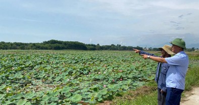 Dòng vốn chính sách nâng tầm Sen Huế