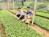 Tín dụng chính sách góp phần tạo sinh kế, nâng cao đời sống người dân