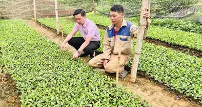 Tín dụng chính sách góp phần tạo sinh kế, nâng cao đời sống người dân
