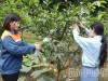 Vốn tín dụng tiếp sức hành trình tái hòa nhập cộng đồng