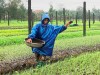 “Điểm tựa” kinh tế cho người dân phường Phong Phú