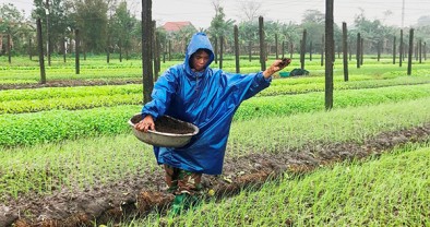 “Điểm tựa” kinh tế cho người dân phường Phong Phú