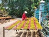 Vốn ngân hàng “thay áo” những vùng quê
