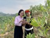 Đưa công nghệ số vào tín dụng chính sách