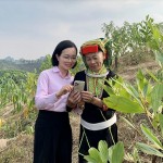 Cán bộ NHCSXH cùng bà Triệu Thị Tiên (dân tộc Dao) thôn Nóoc Mò, xã Hưng Vũ kiểm tra thông tin trên ứng dụng VBSP Smart Banking