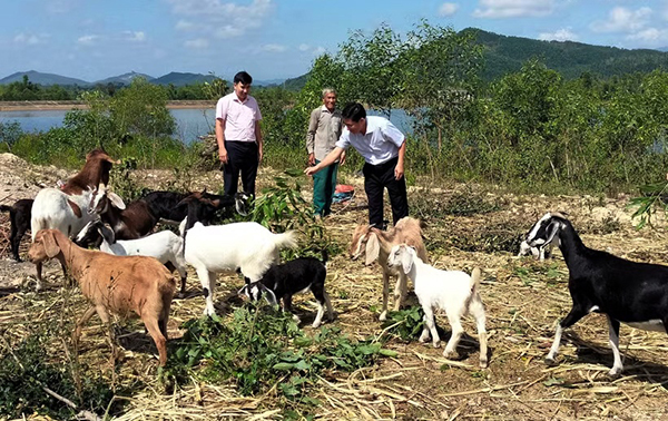 tin-dung-chinh-sach-gia-lai20260518153953 tin-dung-chinh-sach-gia-lai20260518153953